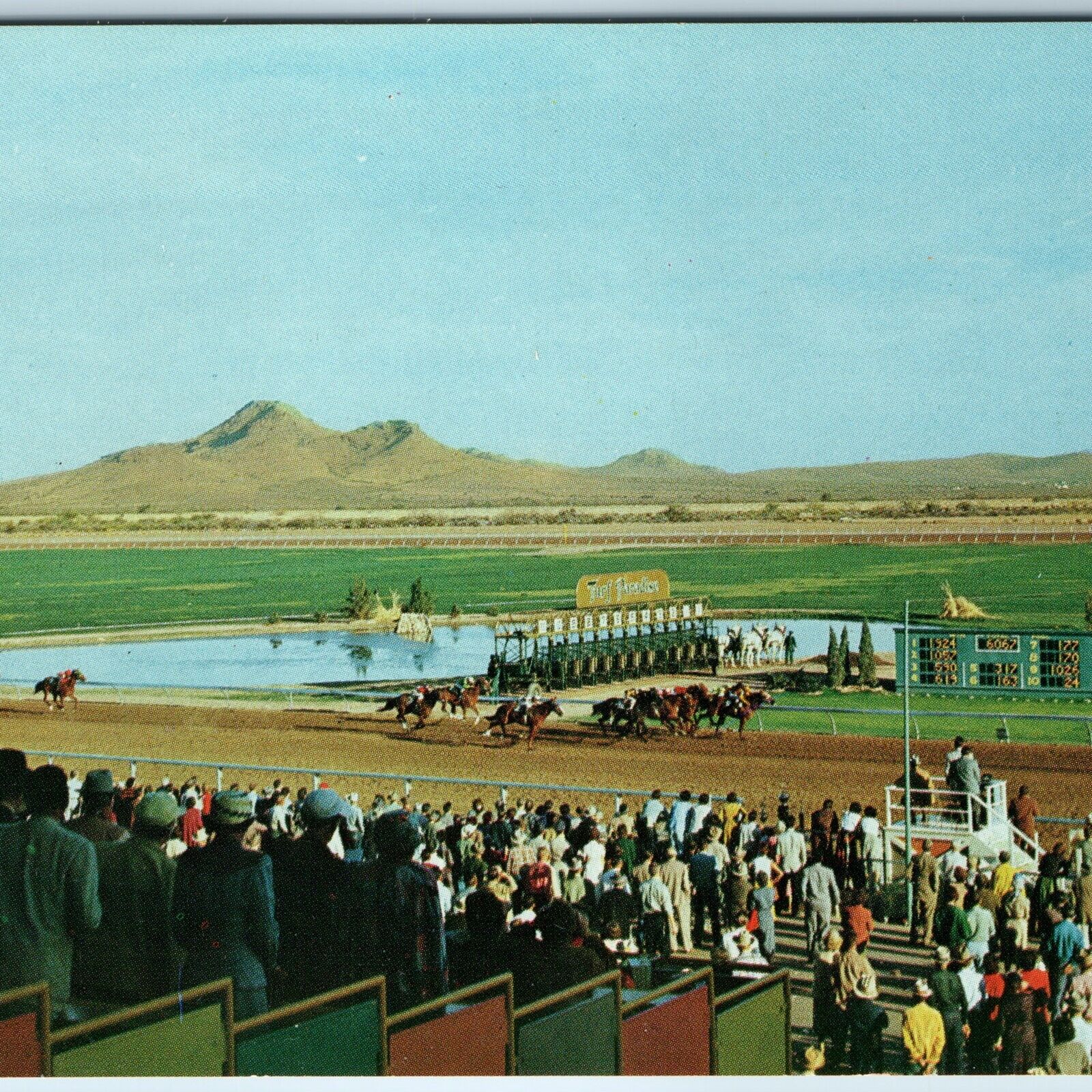 c1960s Phoenix, AZ Turf Paradise Horse Race Track Bell Road Desert Gambling A224