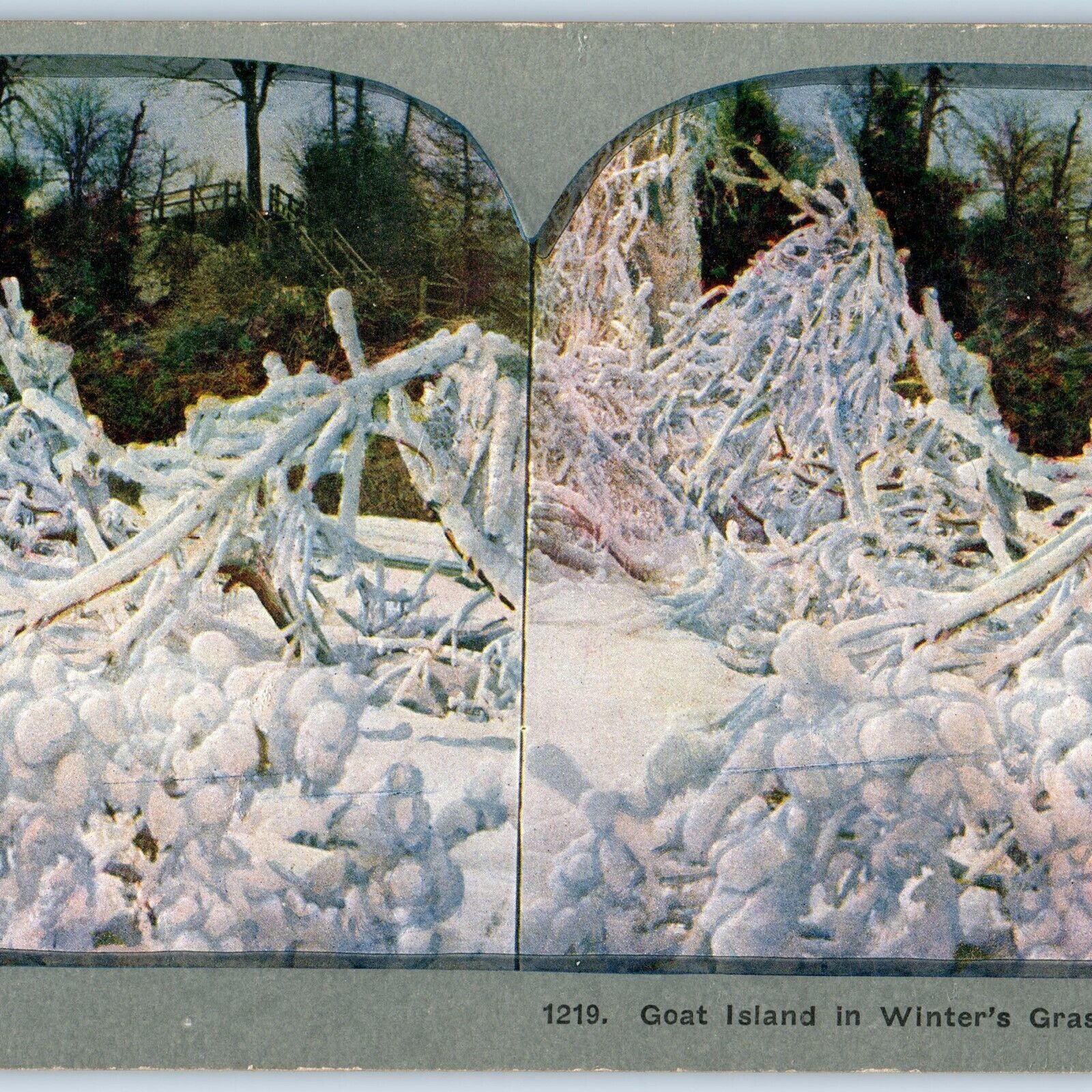 c1900s Niagara Falls Goat Island in Winter Litho Photo Stereo Card Whitney V8