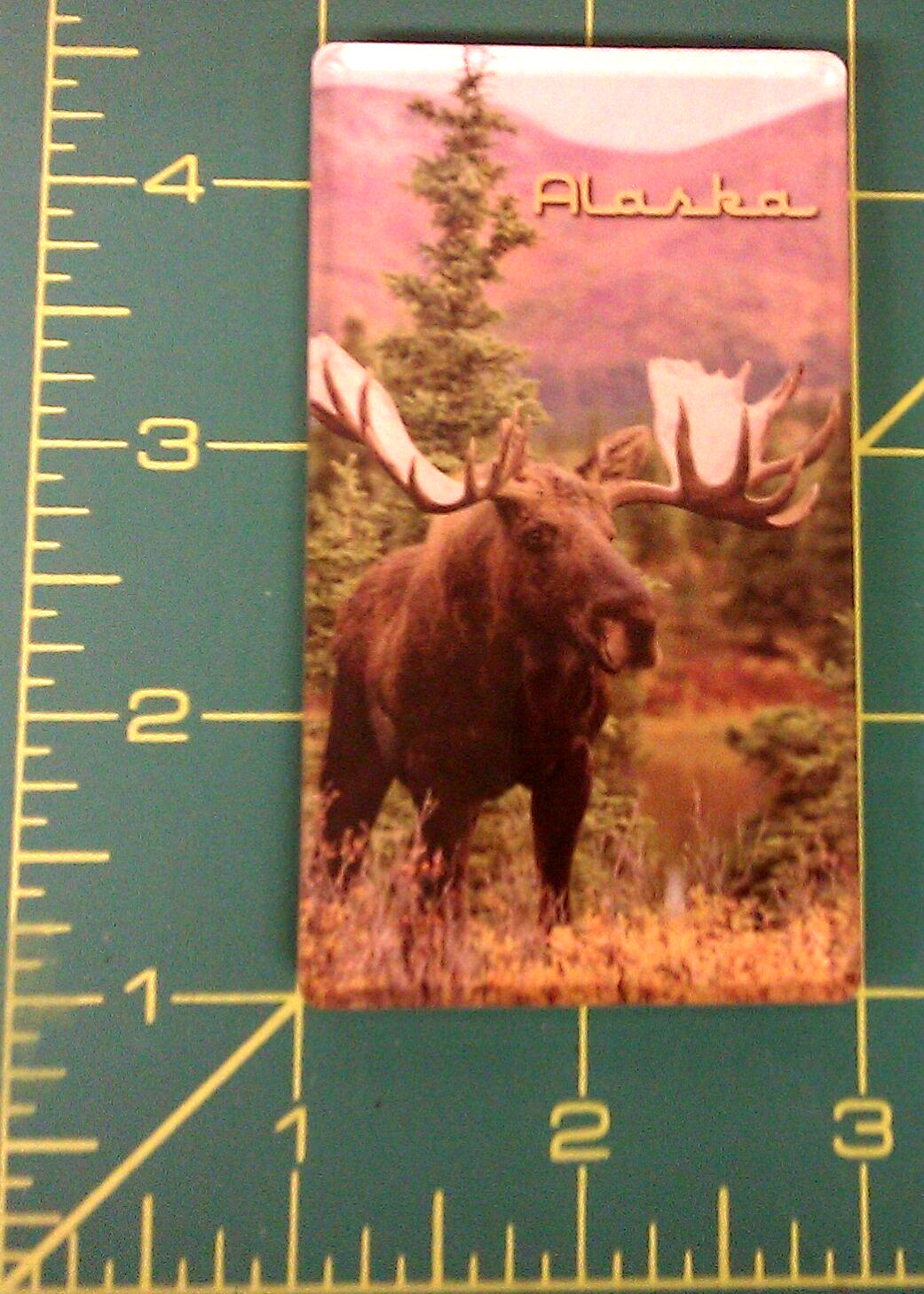 Bull Moose Alaska Acrylic Magnet - We combine items & Ship worldwide beautiful