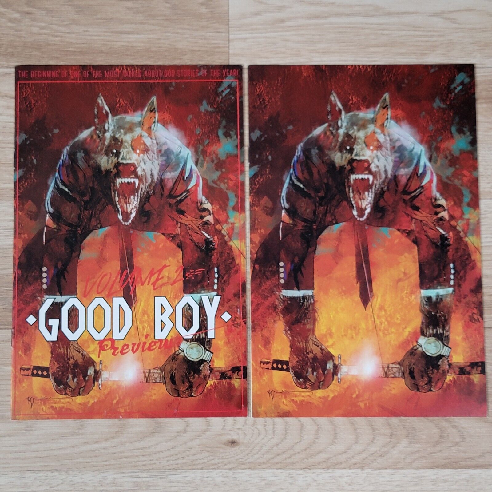 The Good Boy Vol 2 Ashcan Trade Virgin Sienkiewicz Whatnot 2022 Megacon Comic