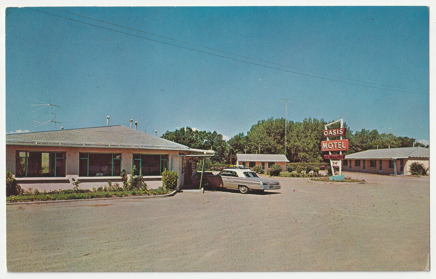 c1960s~Oasis Motel~Springer New Mexico NM~Vintage VTG Chrome Postcard