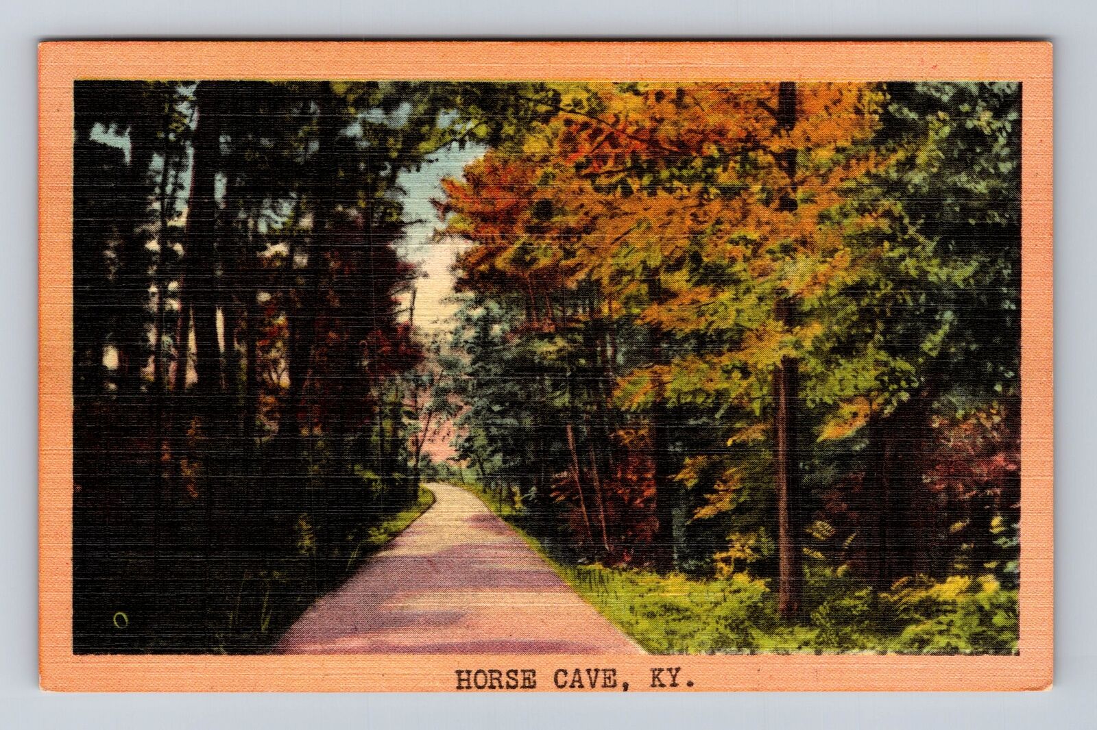 Horse Cave KY-Kentucky, Scenic View Of Road Area, Antique, Vintage Postcard
