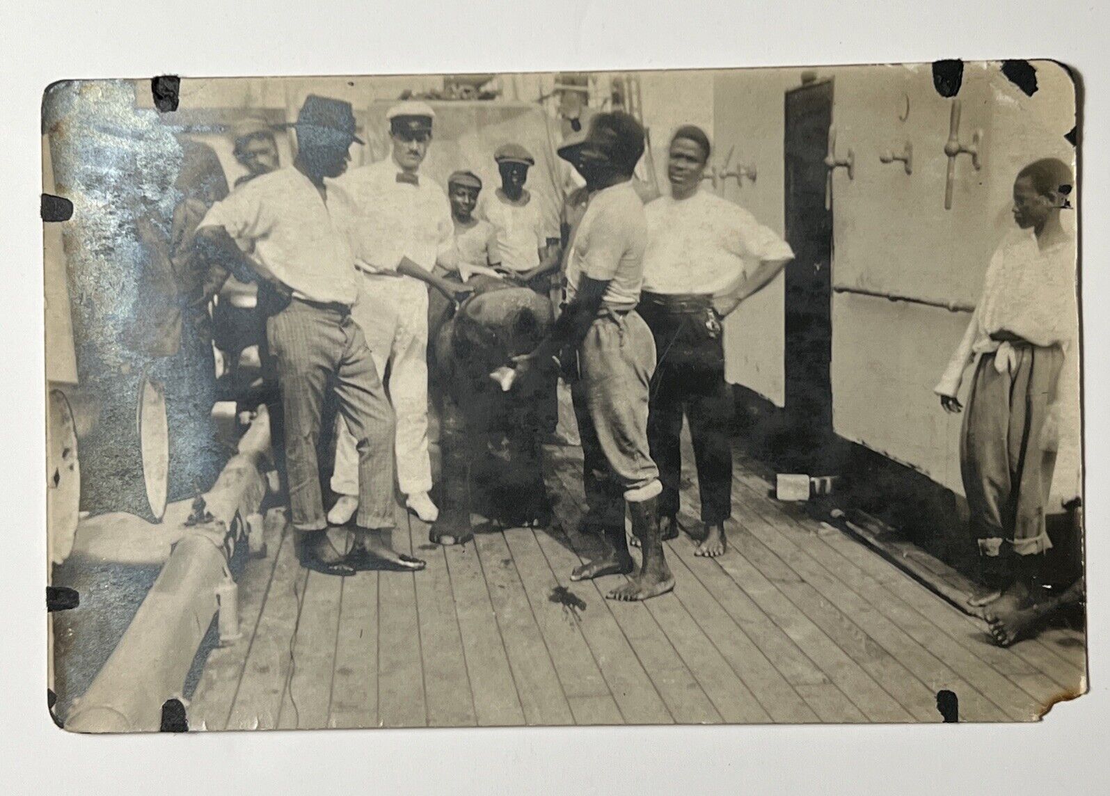 c.1920 BABY ELEPHANT aboard SHIP w Deckhands antique RPPC Real Photo Postcard