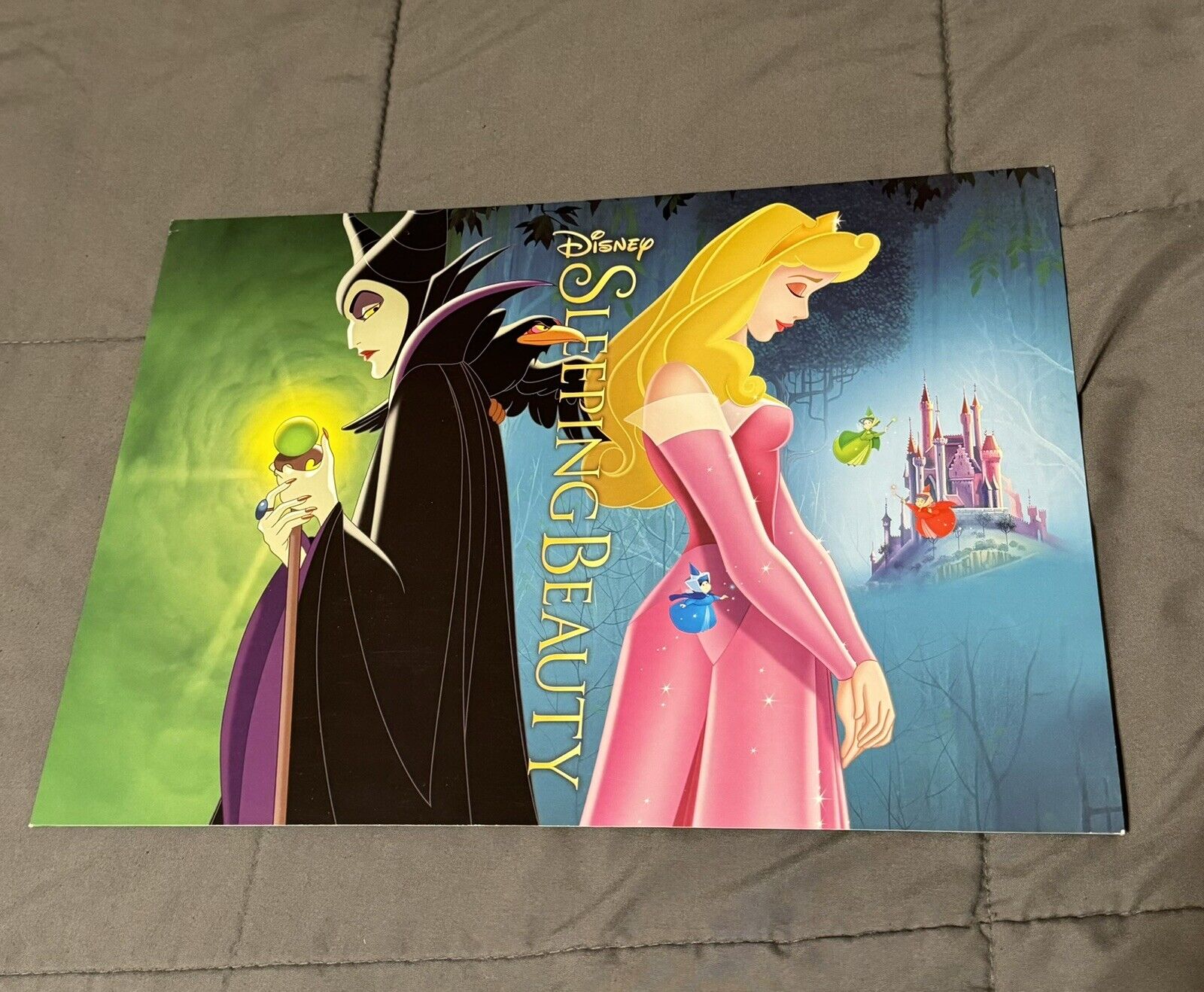 Sleeping Beauty 4 pc Lithograph Set & Folder Disney Store Authentic