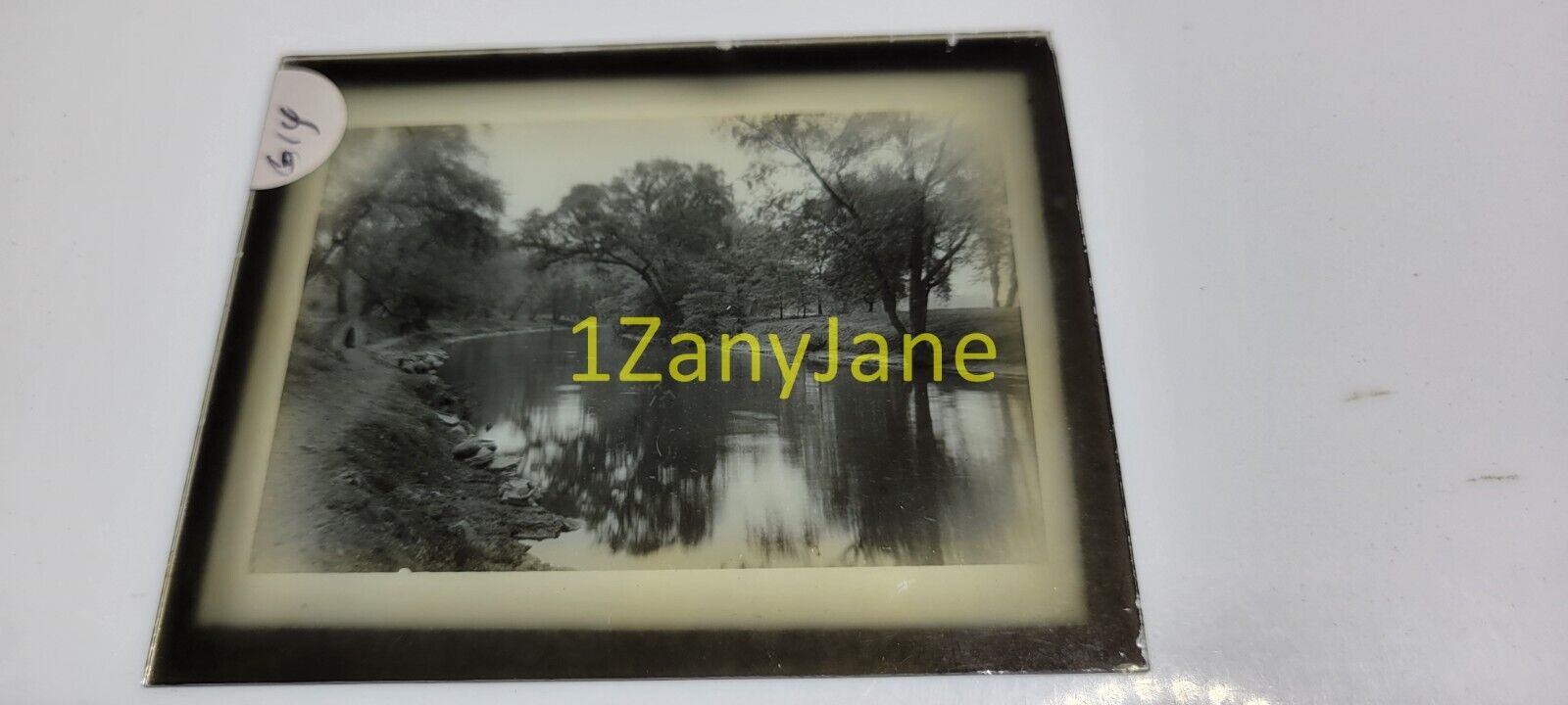 G14 GLASS Slide or Negative SMALL POND WITH TREES REFLECTIONS FROM SHORE