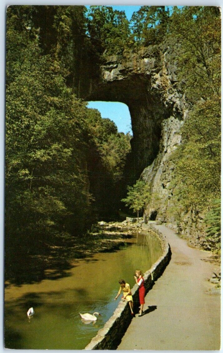 Postcard Natural Bridge Virginia USA North America