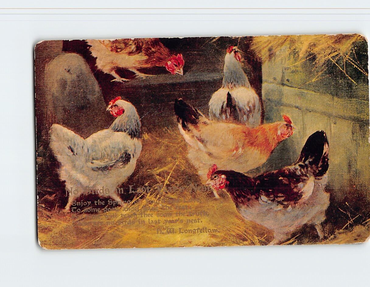 Postcard Chickens in Coop No Bird\'s in Last Year\'s Nest by Longfellow