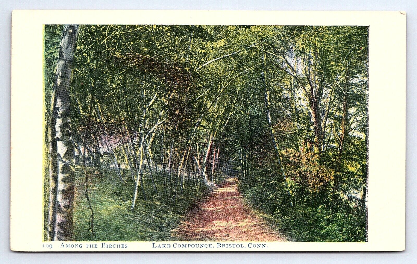 Postcard Among The Birches Lake Compounce Bristol Connecticut CT