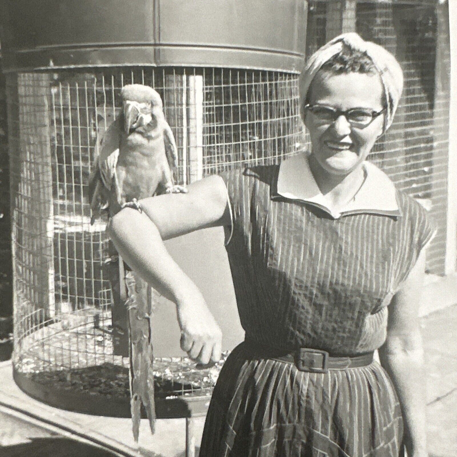 VINTAGE PHOTO Woman With Scarlett Macaw Parrot On Arm 1950S Snapshot
