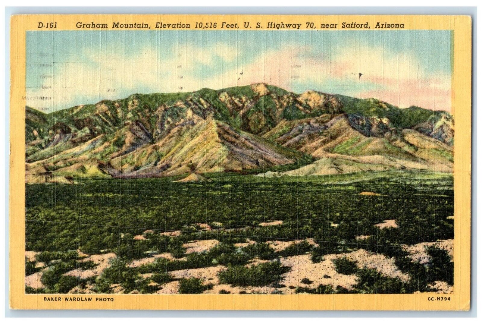 1952 Graham Mountain Altitude Sea Level Safford Arizona AZ Posted Trees Postcard