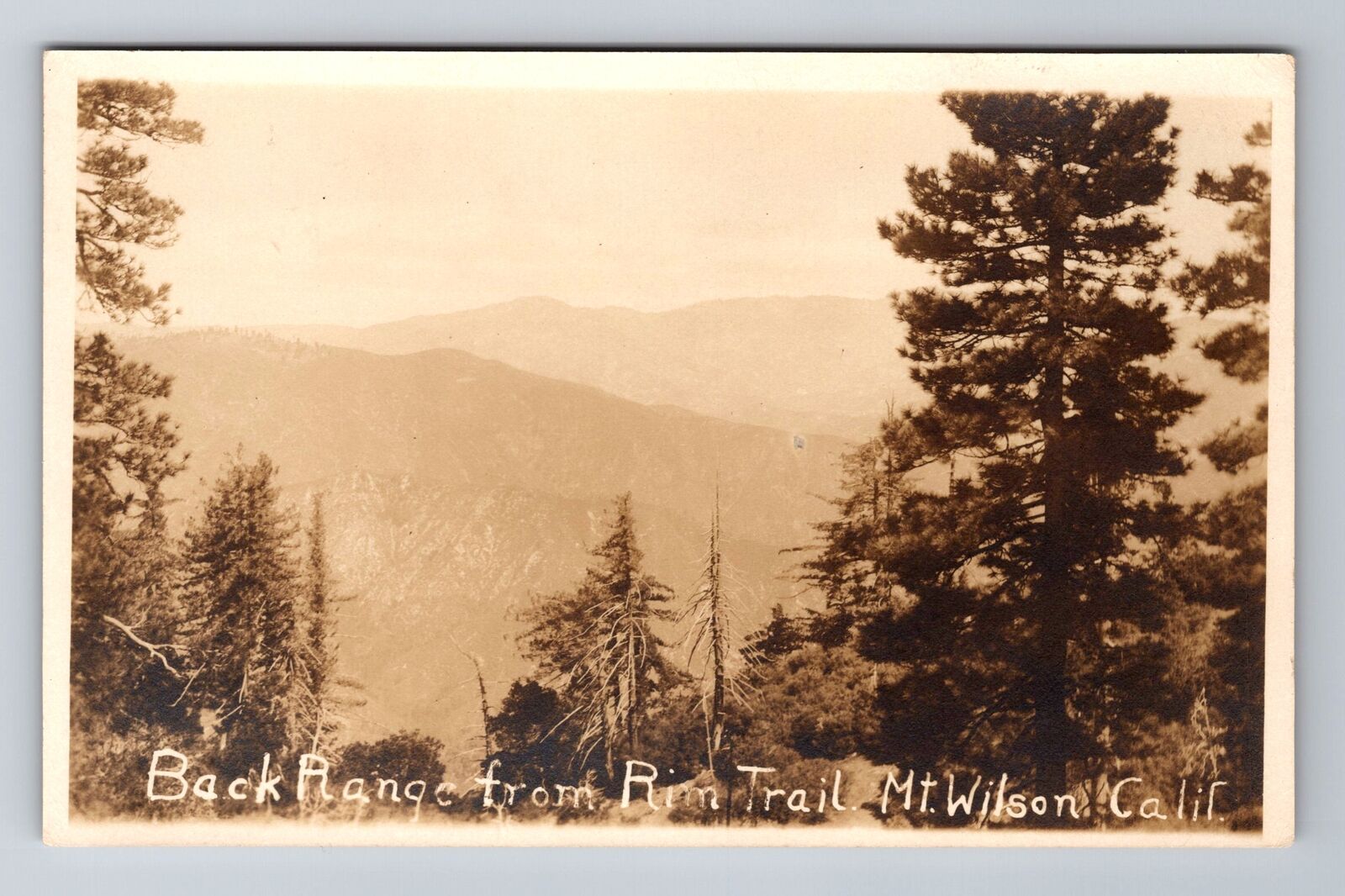 Mt Wilson CA-California RPPC, Back Range From Rim Trail, Vintage Postcard