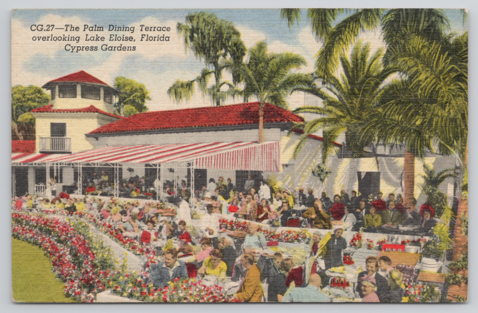 Cypress Gardens Florida Palm Dining Terrace Lake Eloise Linen Postcard