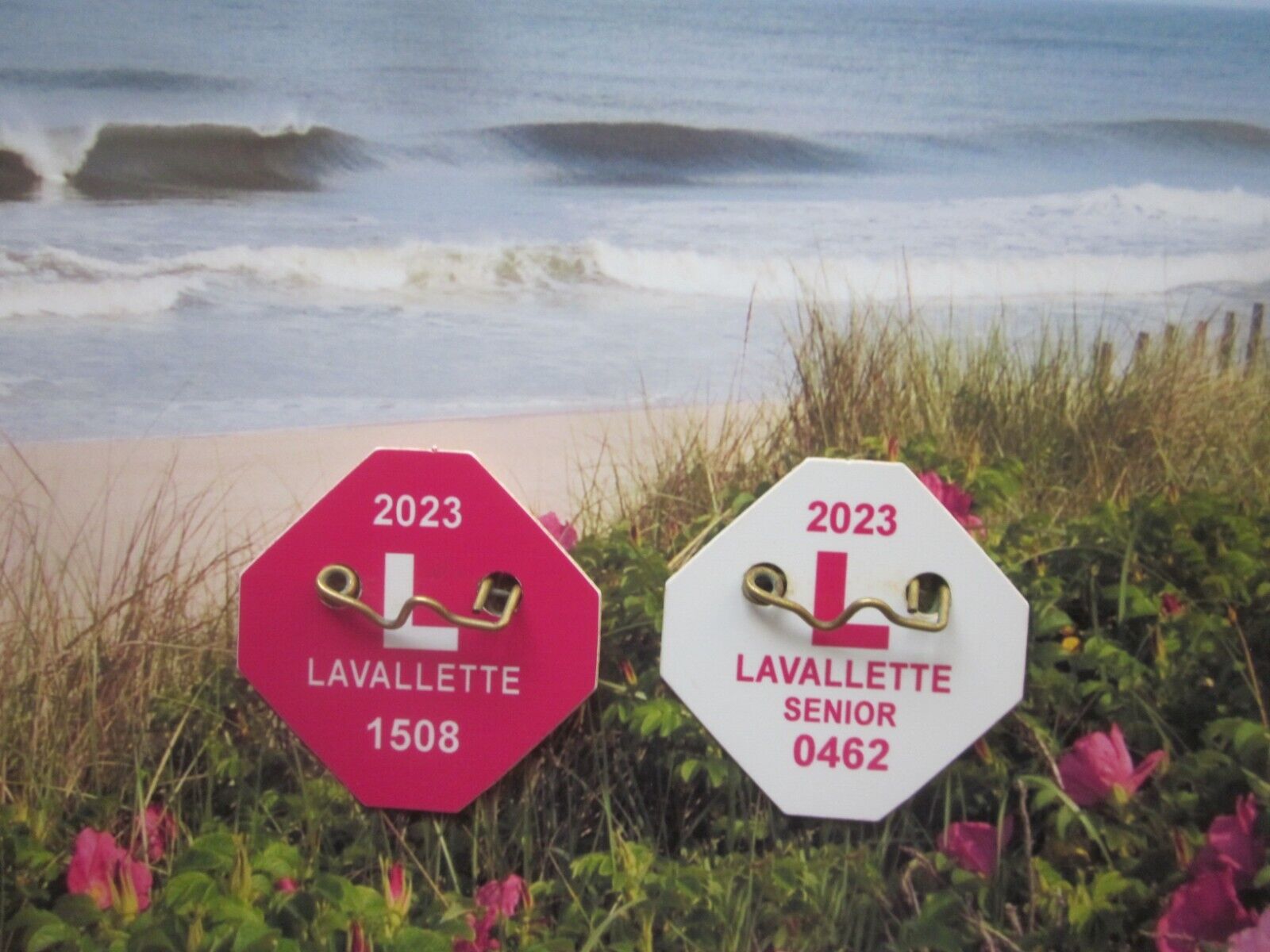 2023  LAVALLETTE  NEW  JERSEY  SEASONAL  BEACH   BADGE/TAG   FREE  SENIOR  TAG