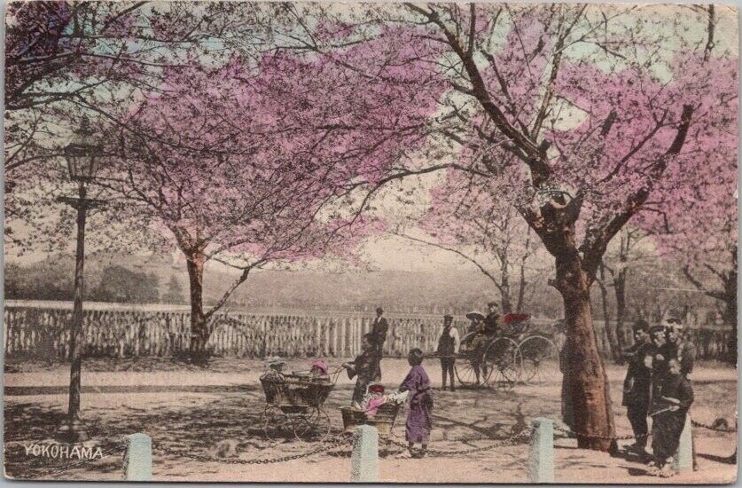 1909 Japanese Hand-Colored Postcard Cherry Blossoms / Park Scene / Portland Ore.