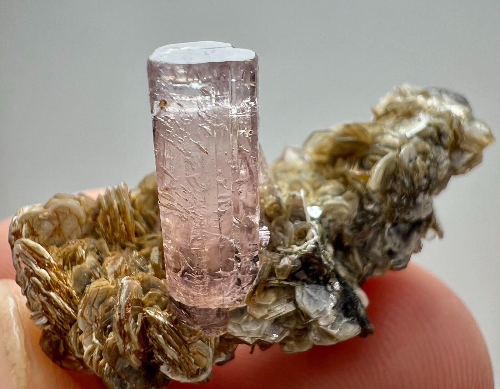 26 Carat Full Terminated Rare Pinkish Apatite Crystals On Matrix From Pakistan