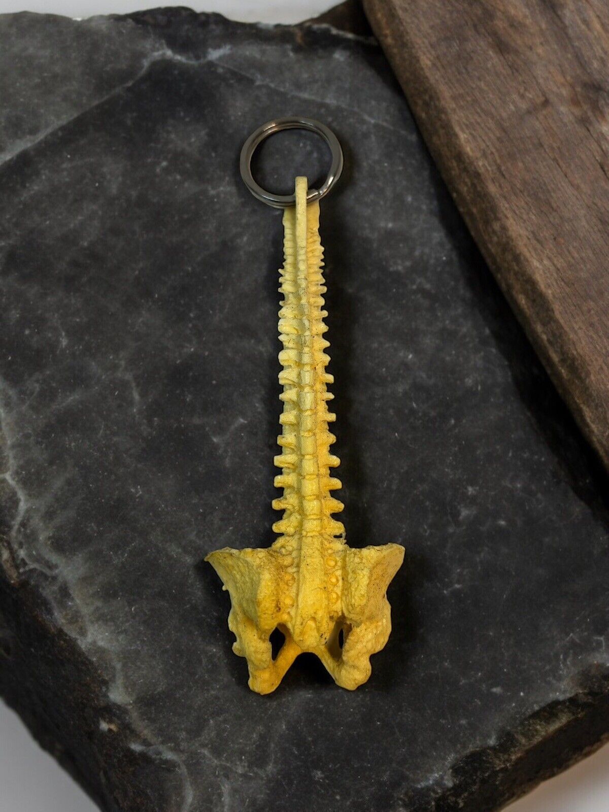 Vintage  Spine Backbone Skeleton Key Ring💀🔥