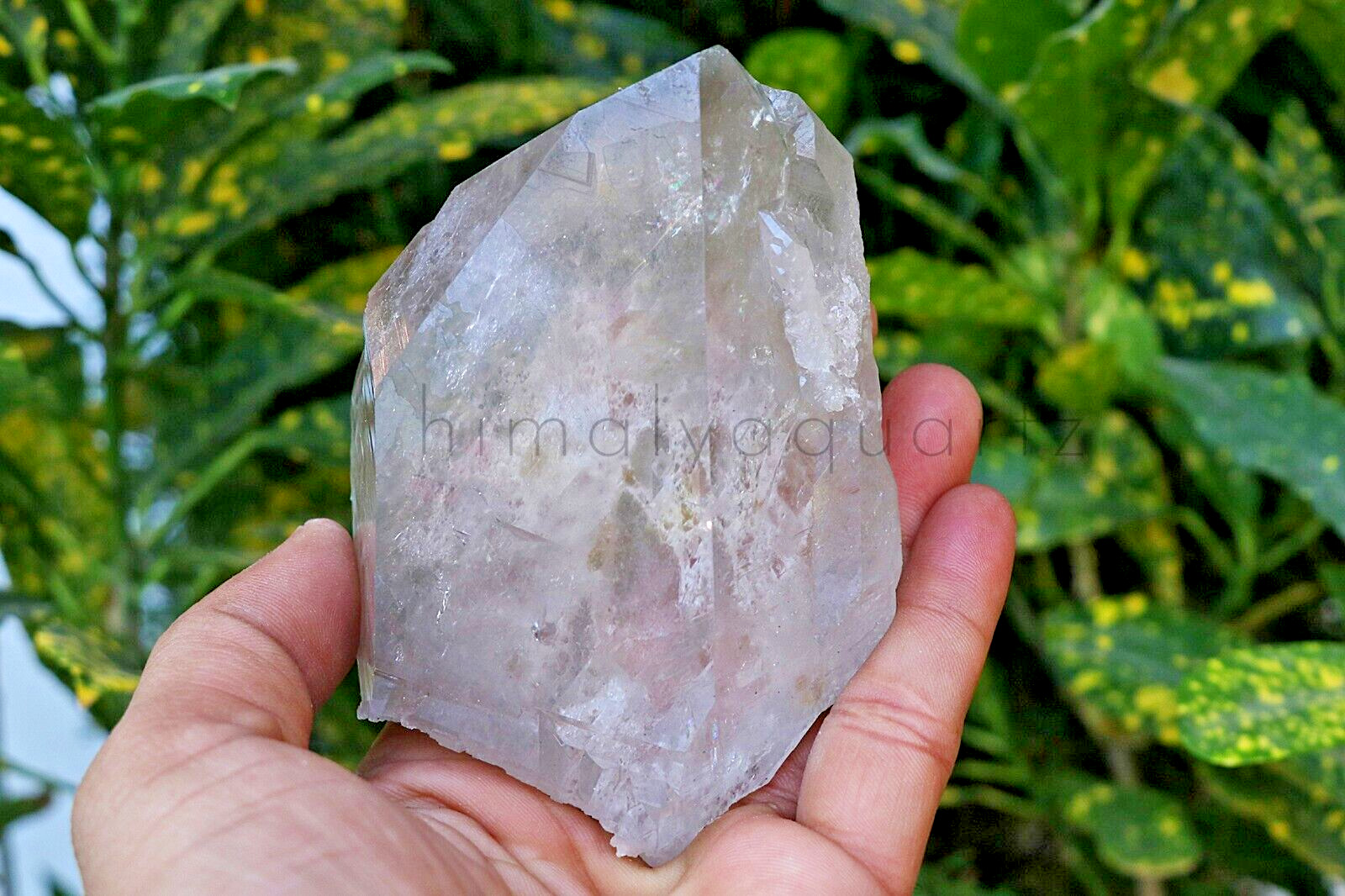 370 gm Healing Himalaya smoky crystal natural specimen minerals for meditation