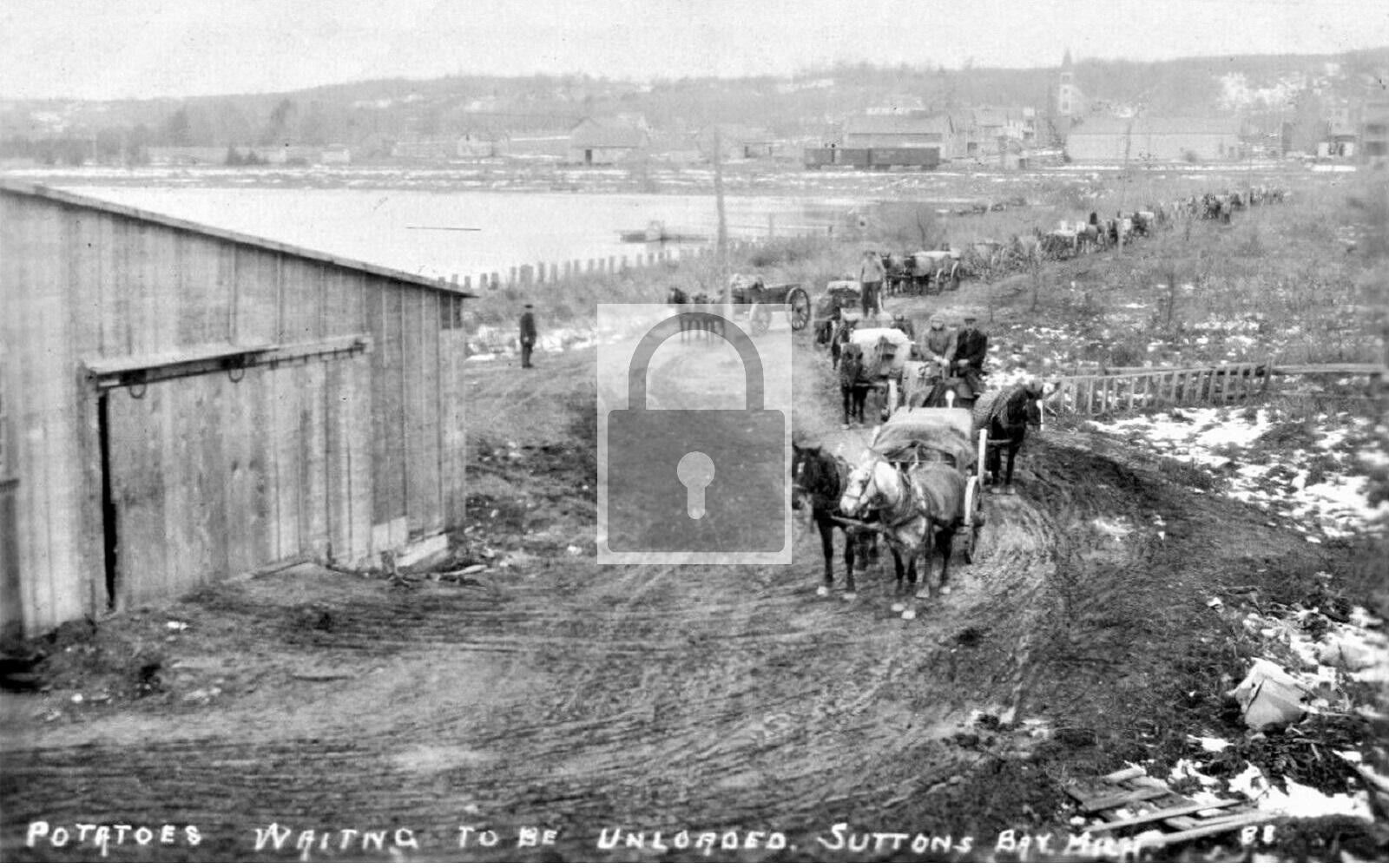 Potato Farm Delivery Wagons Suttons Bay Michigan MI Reprint Postcard