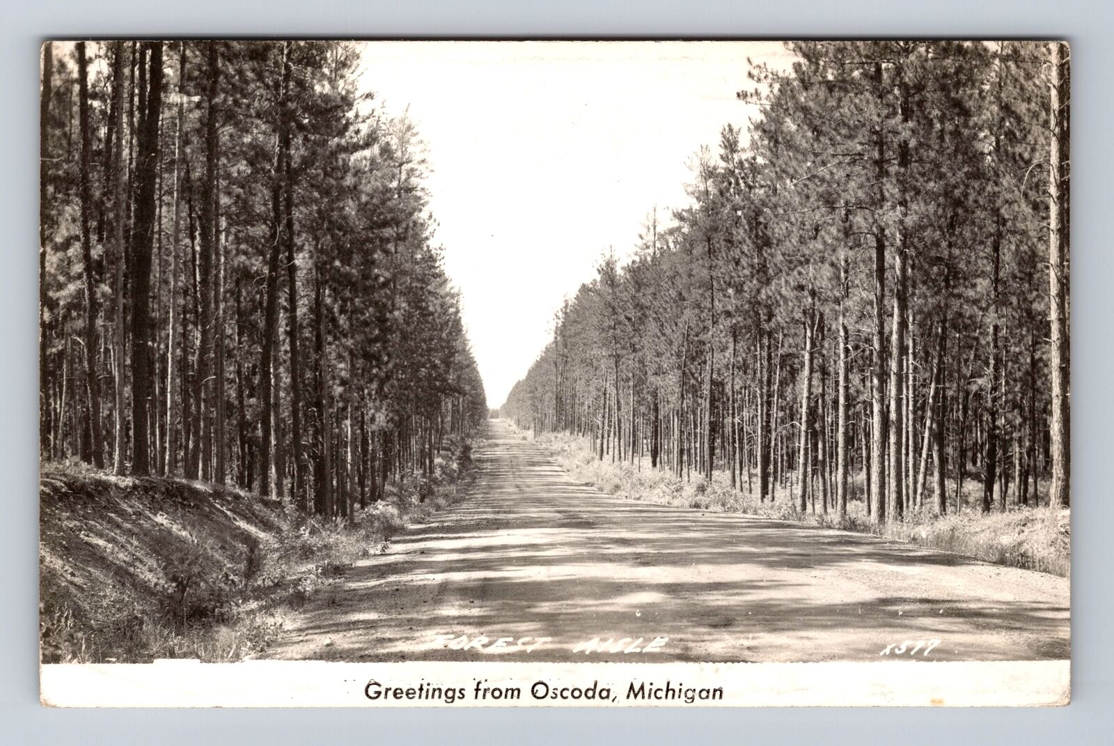 Oscoda MI-Michigan, Scenic General Greetings, Antique, Vintage c1950 Postcard