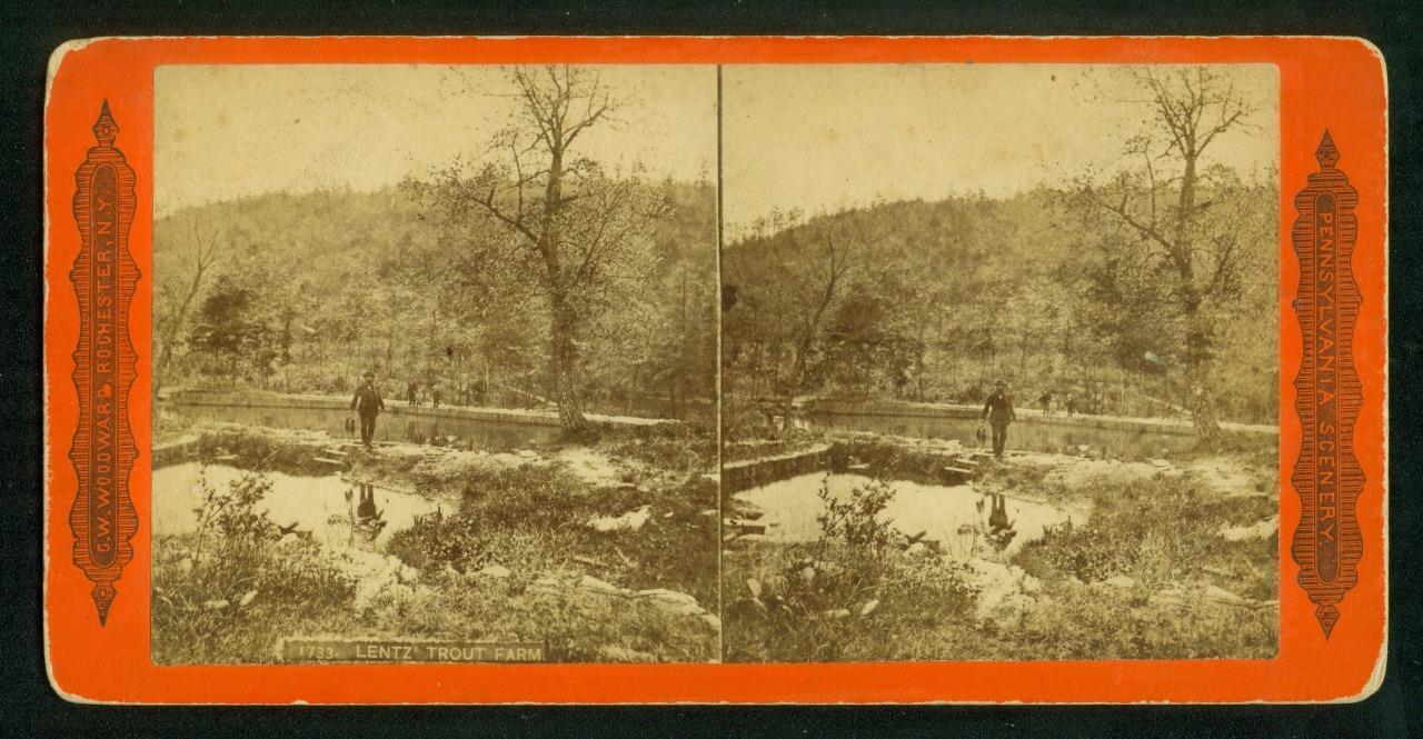 b149, CW Woodward Stereoview, #1733, Lentz\' Trout Farm, PA, 1870s