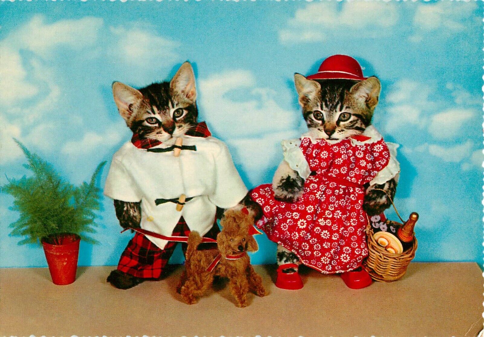TWO CATS with Dog DOLLS FAIRY TALE Kruger, made in Western Germany POSTCARD, New