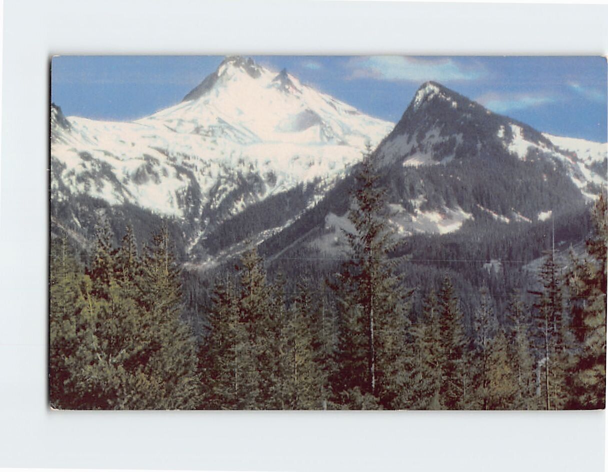 Postcard Mt. Jefferson Oregon USA