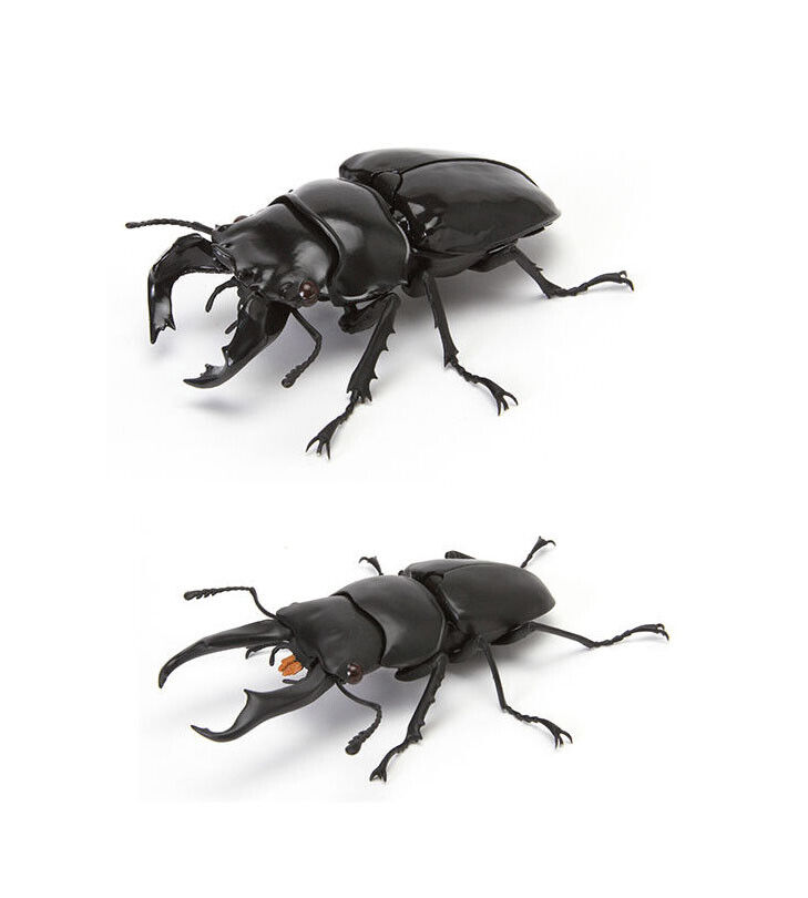 The Diversity of Life on Earth Stag Beetle Vol 4 Figure Bandai Gashapon set of 2