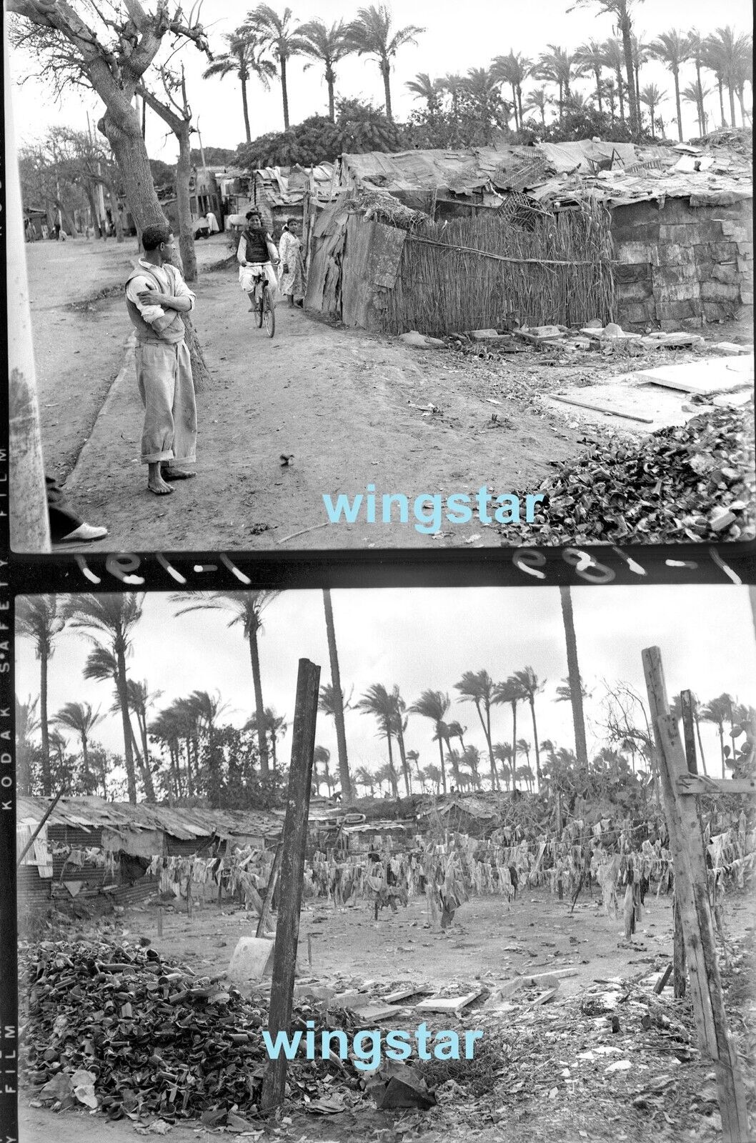 2 Old Photos Poverty Tropical Palm Trees Textiles Clothes Vintage NEGATIVES