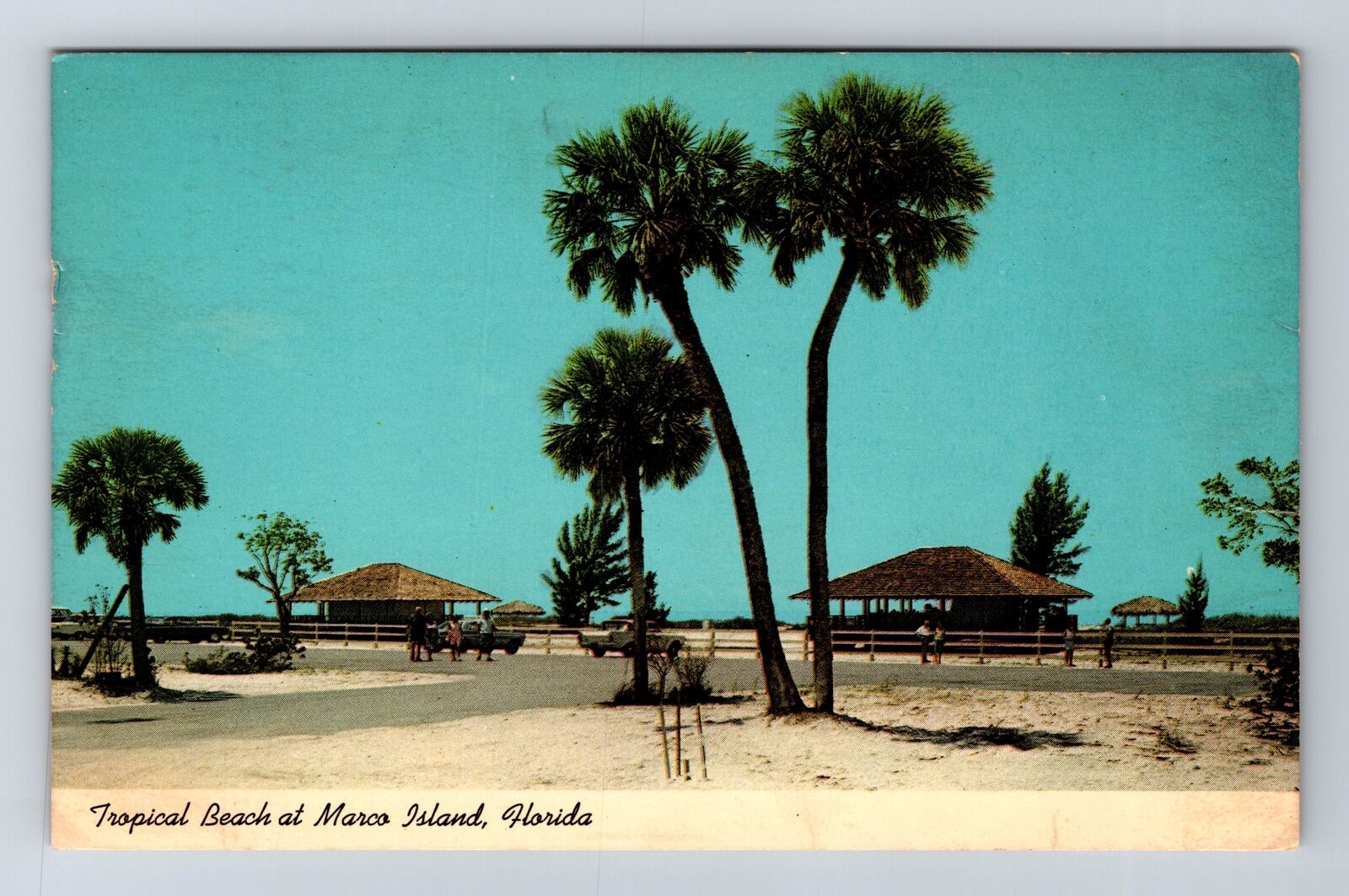 Marco Island FL-Florida, Tropical Beach at Marco Island, Vintage Card Postcard