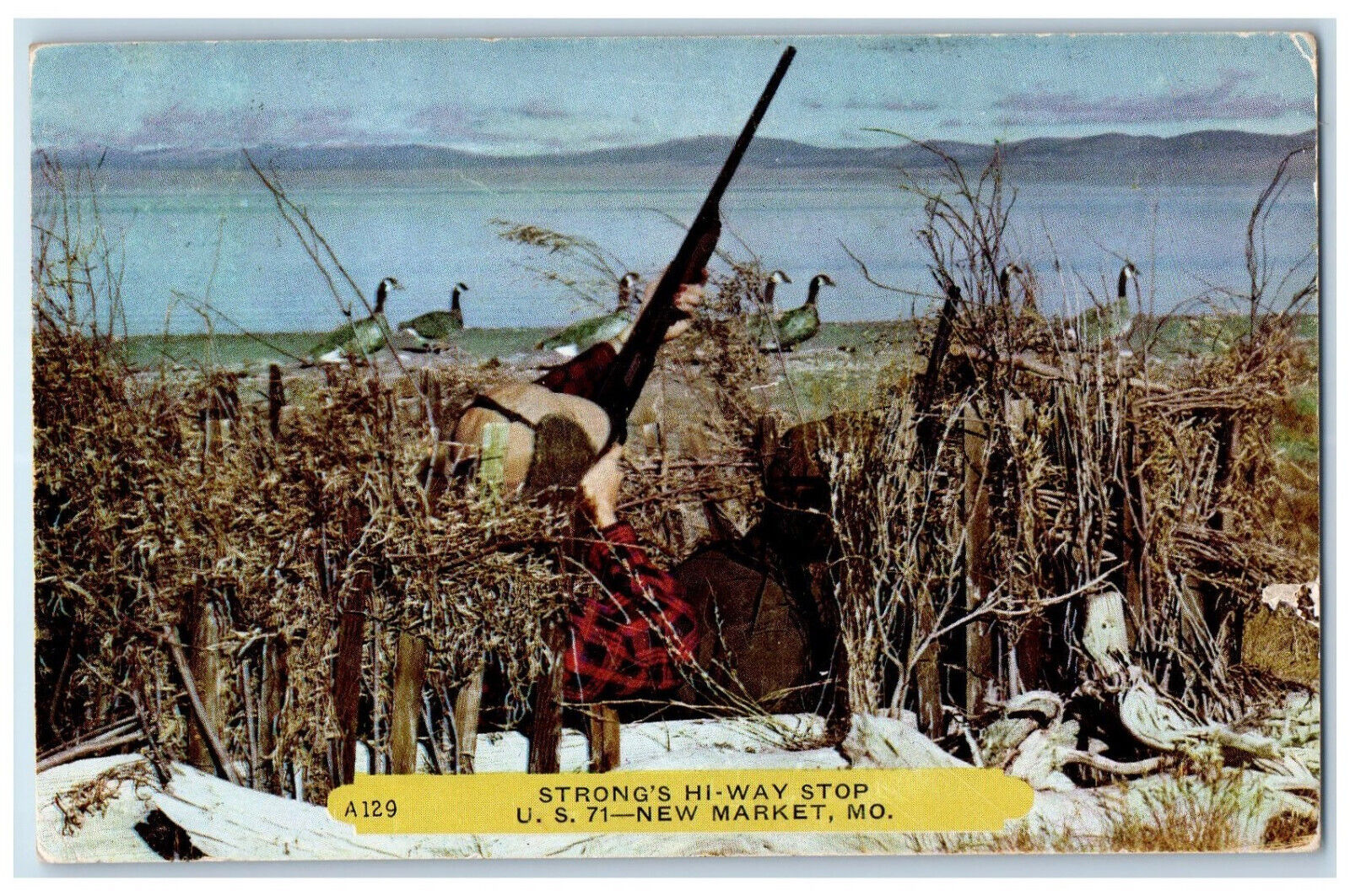 1914 Long Gun Duck Strong's Hi-Way Stop New Market Missouri MO Postcard