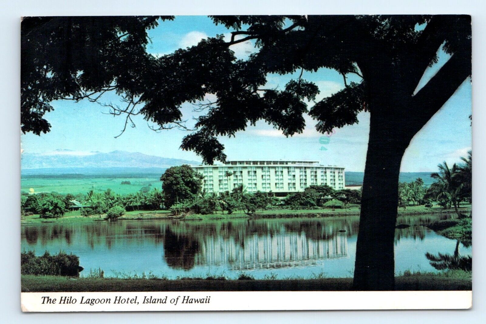 Hilo Lagoo Hotel Grounds Exterior Hilo HI Postcard Posted