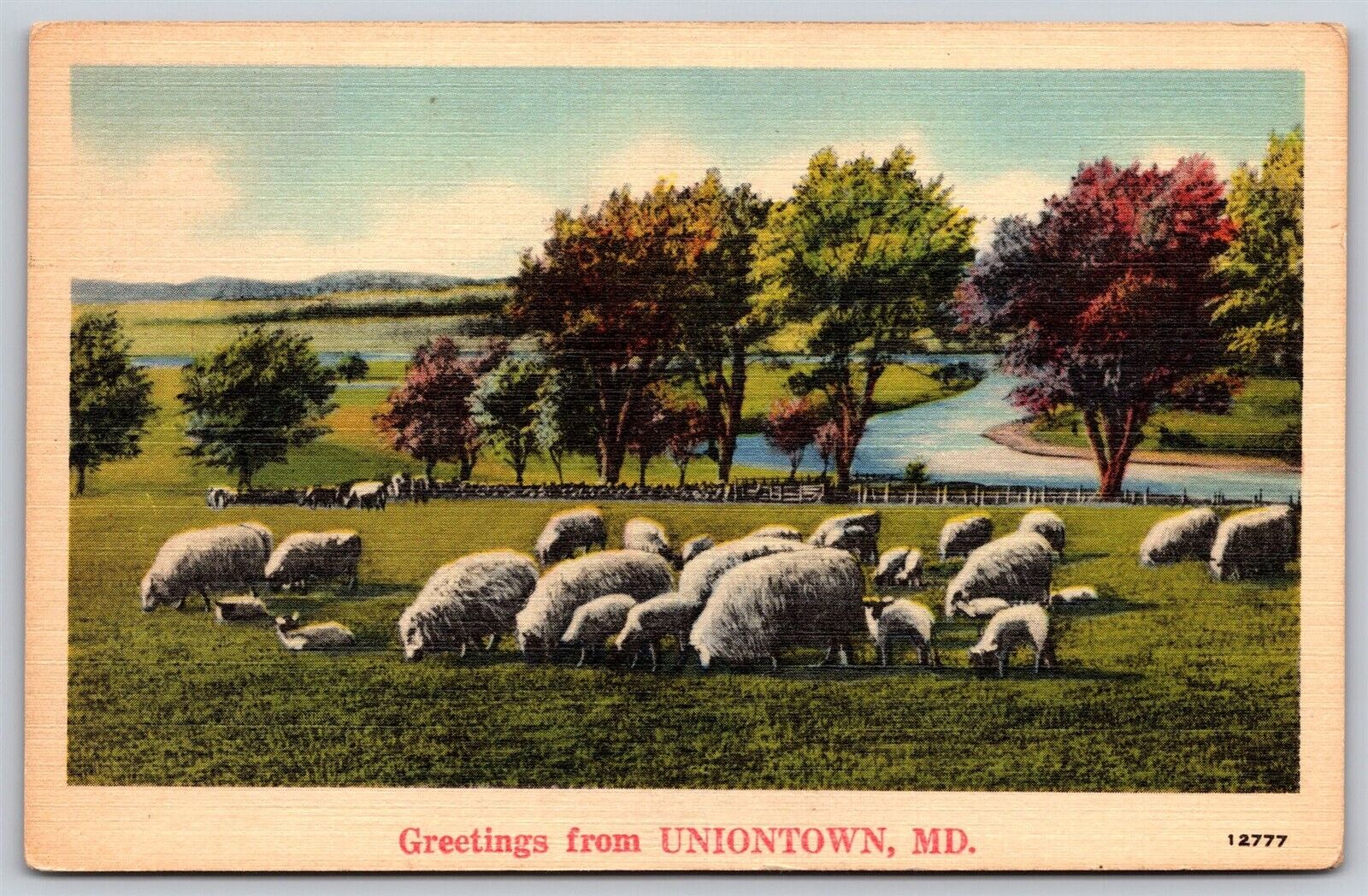 Postcard Greetings from Uniontown, Maryland sheep linen 1942 T123