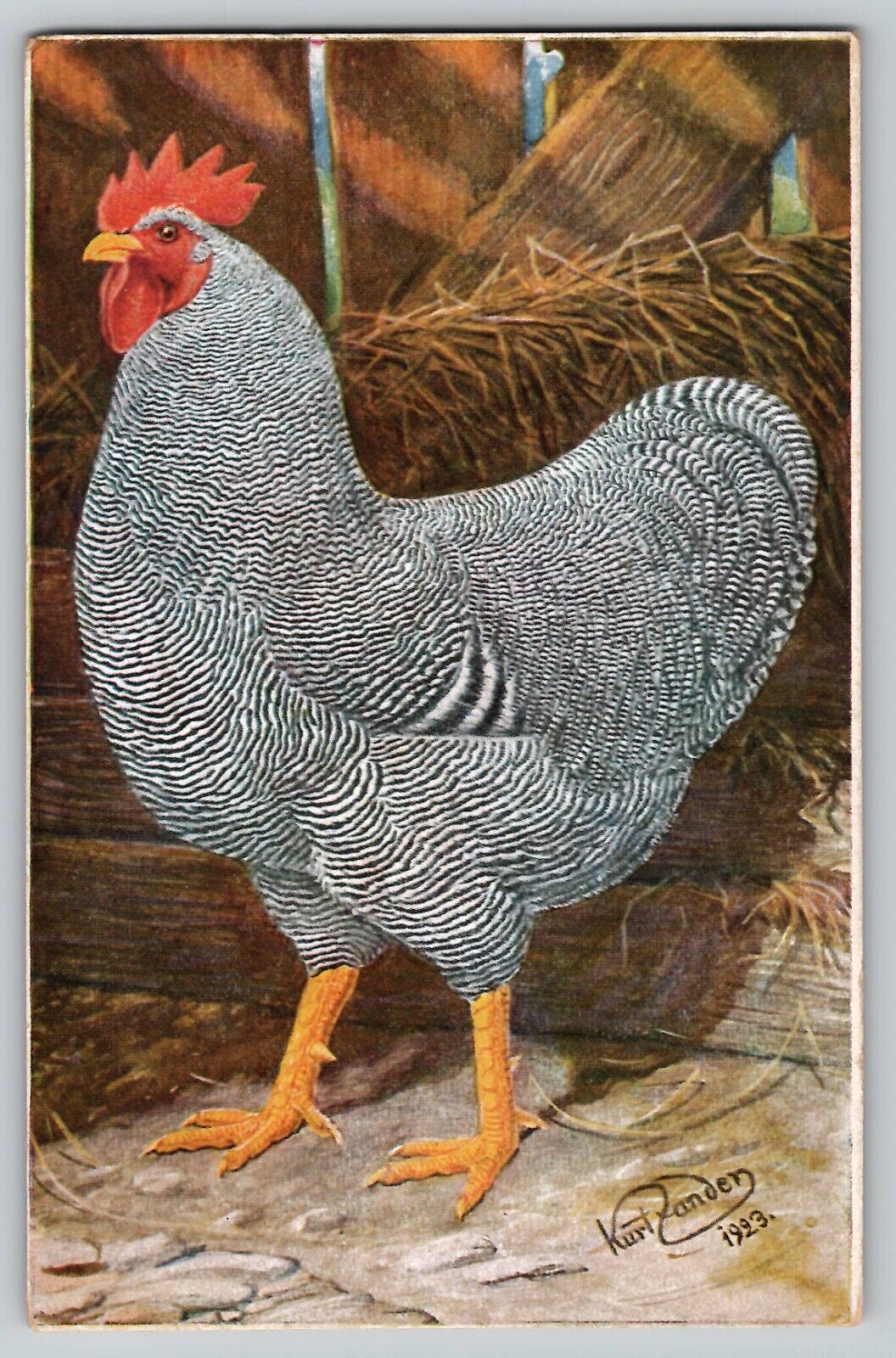Silver Pencilled Rooster Chicken Hen ZANDER Artist Signed Vtg Postcard 1923