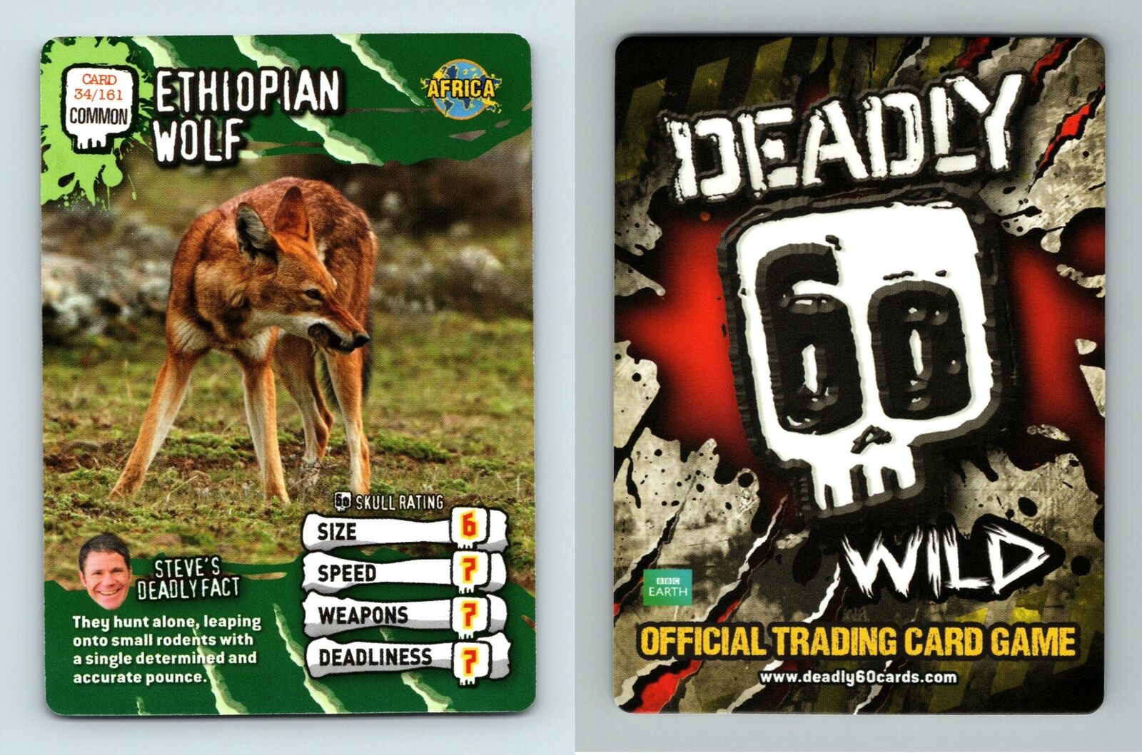 Ethiopian Wolf #34/161 Deadly 60 Wild 2008 Common TCG Card