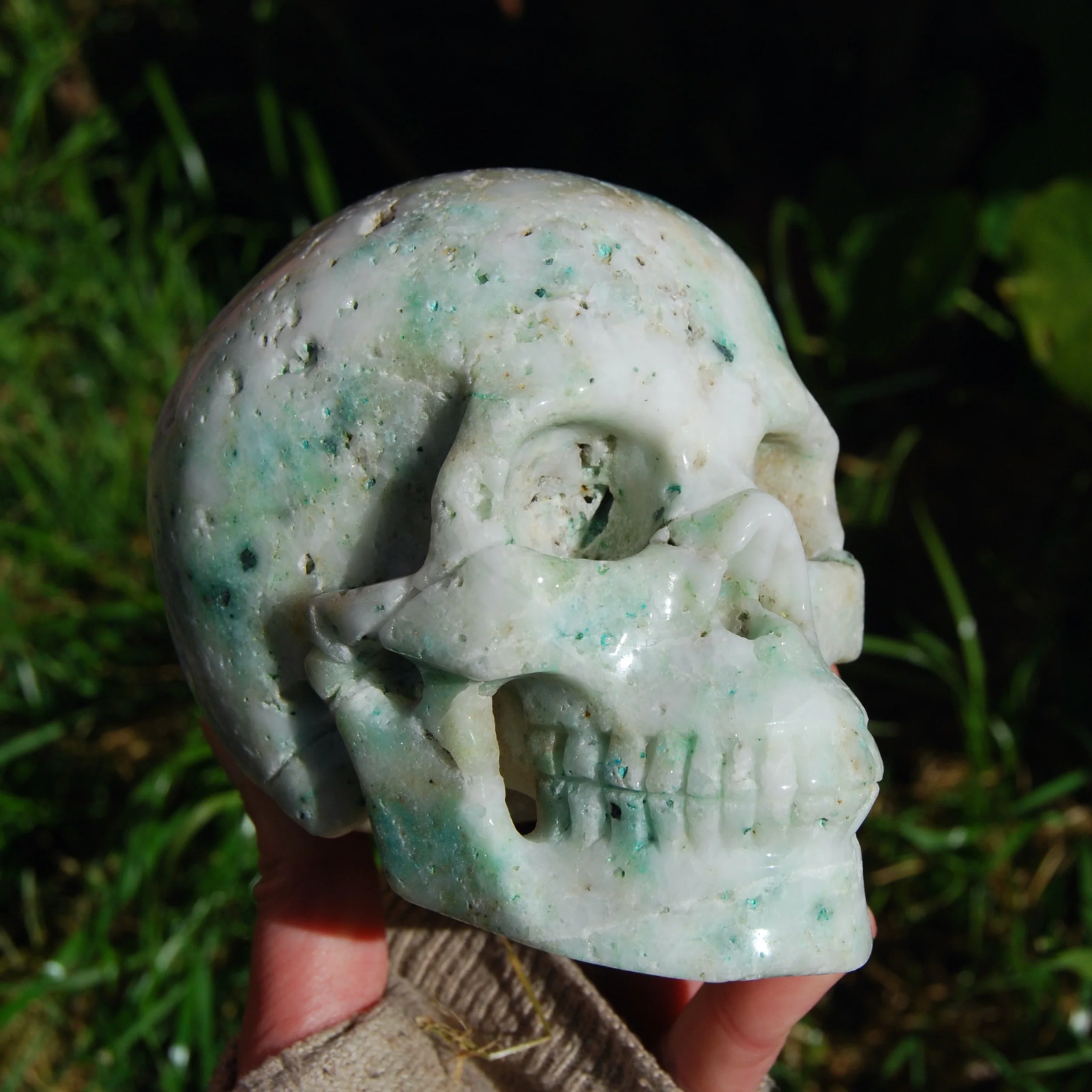 5in Huge Chrysocolla Quartz Crystal Skull, Realistic Gemstone Carving