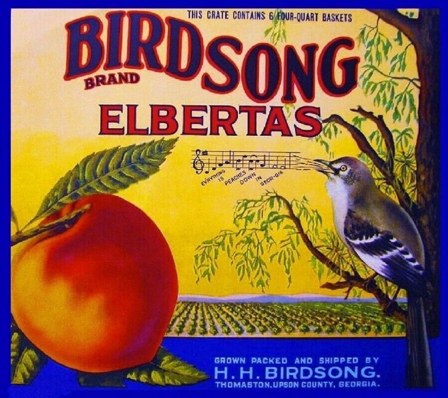 Birdsong Peaches Thomaston Upson Georgia Bird Peach Fruit Crate Label Art Print