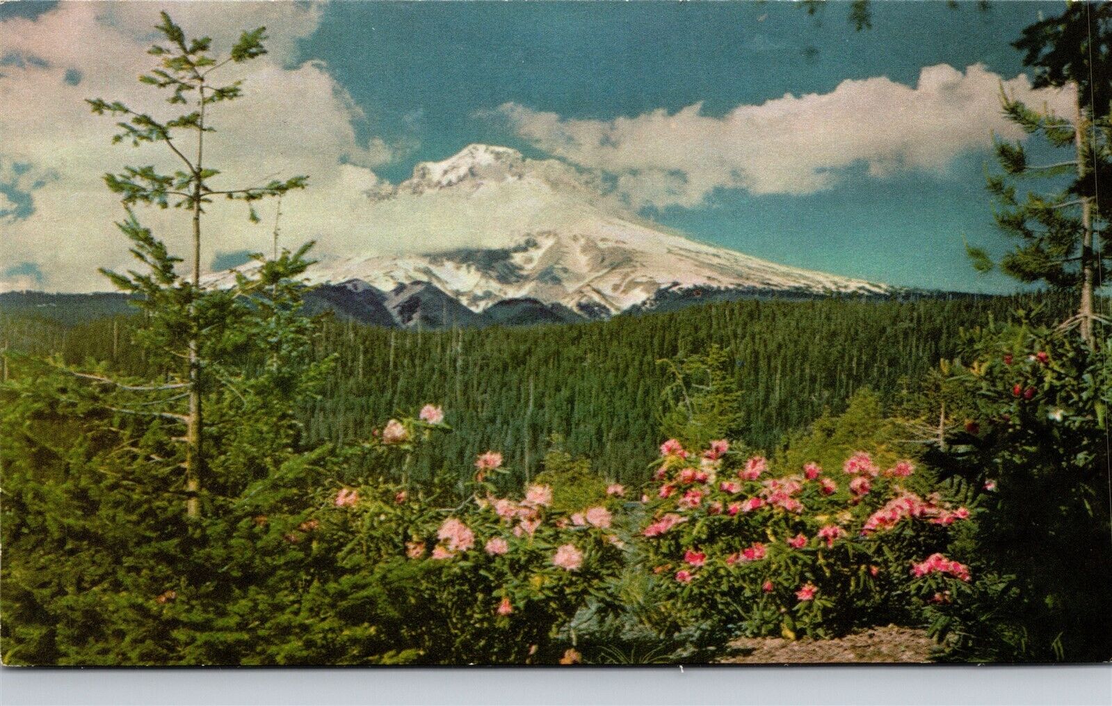 Rhododendron Flowers Mt Mount Hood OR 1939 Union Oil 76 Ad Vtg Postcard View