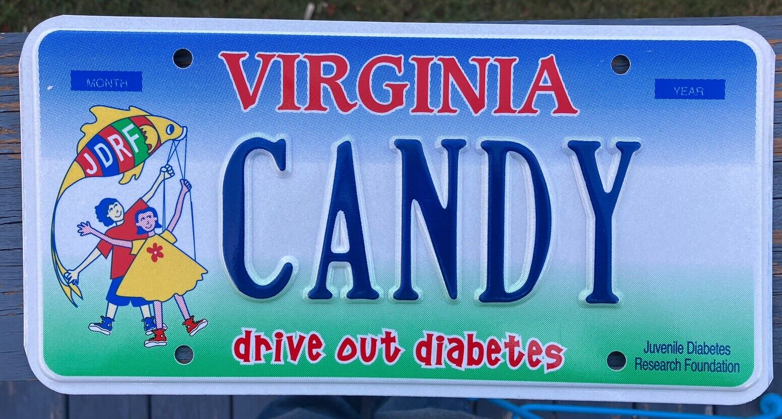 Expired Va DMV Virginia Issued Va License Funny “Candy” Plate Personalized