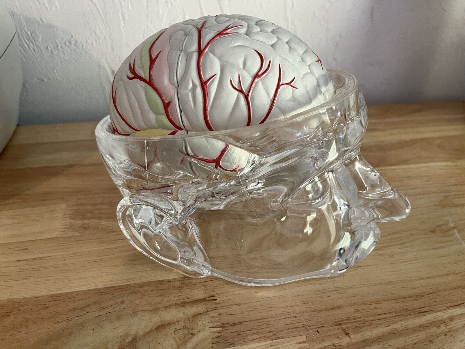 Seroquel Medical Pharmaceutical Brain Head Display Schizophrenia