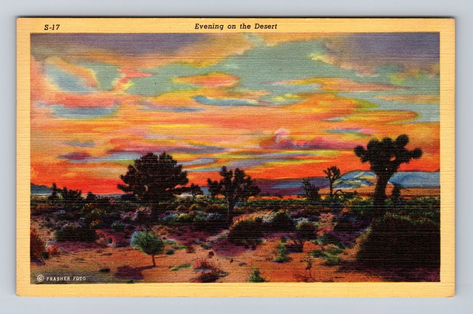 Evening Sunset on the Desert, Antique Vintage Souvenir Postcard