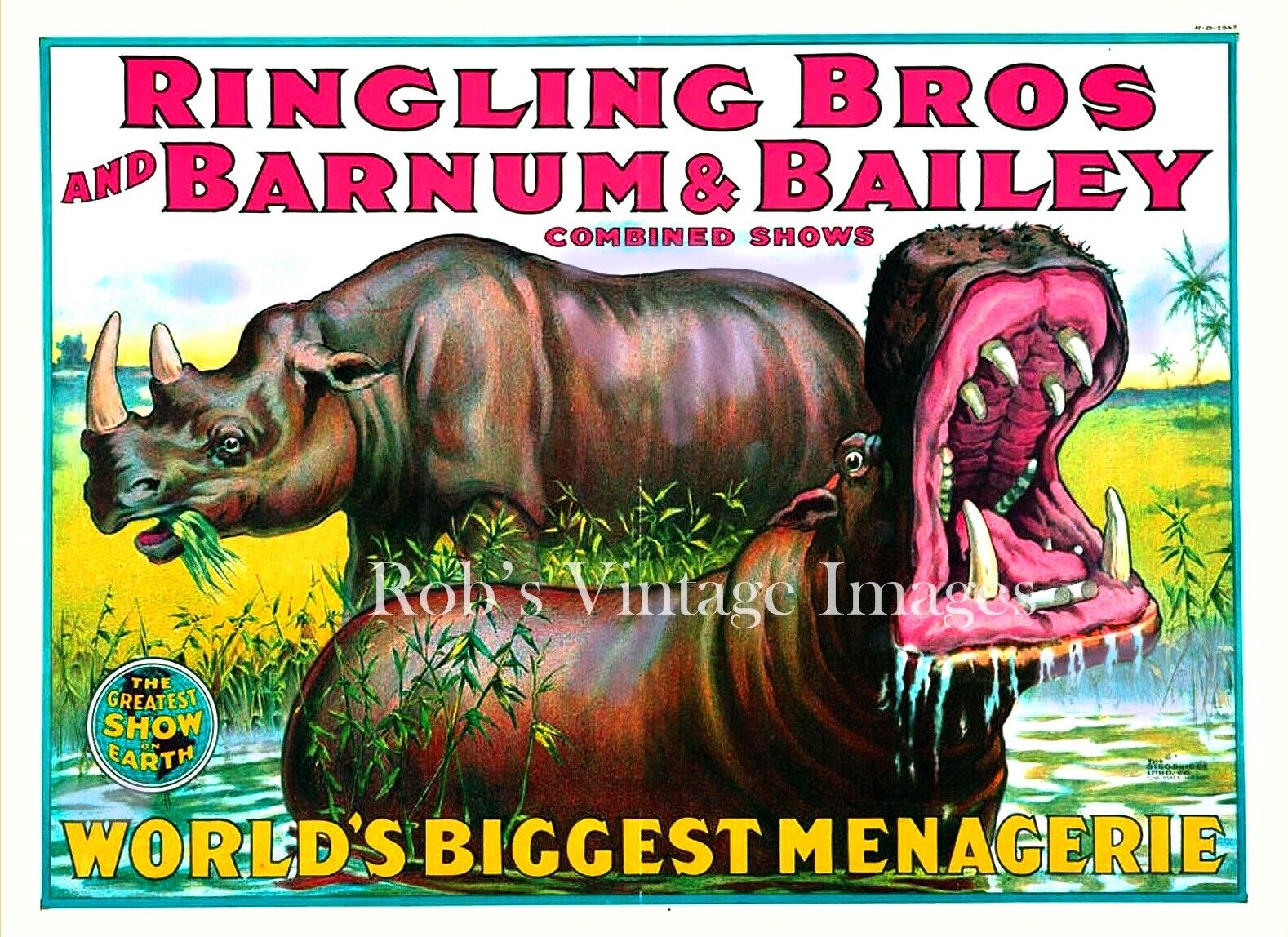 Ringling Bros. Barnum & Bailey Circus Hippo Poster Greatest Show on Earth sm