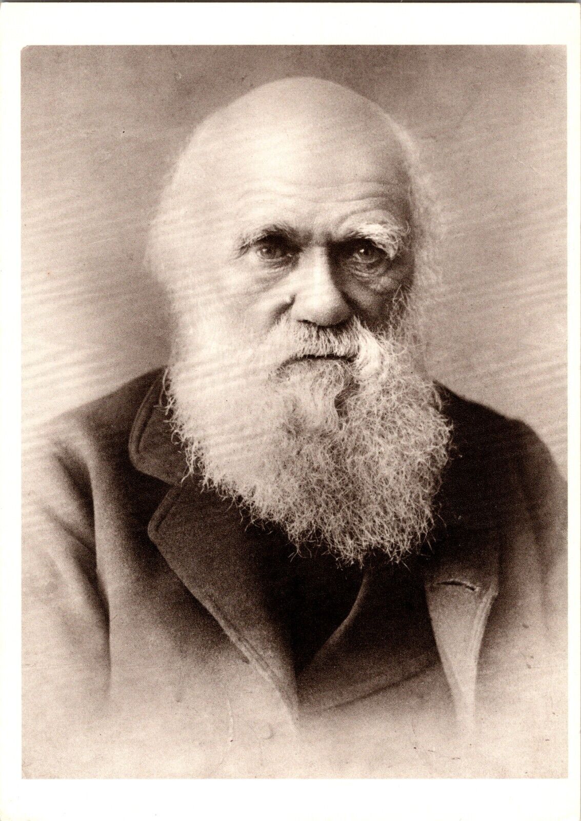 Postcard Charles Darwin English Naturalist Theory of Evolution Biology Paleo