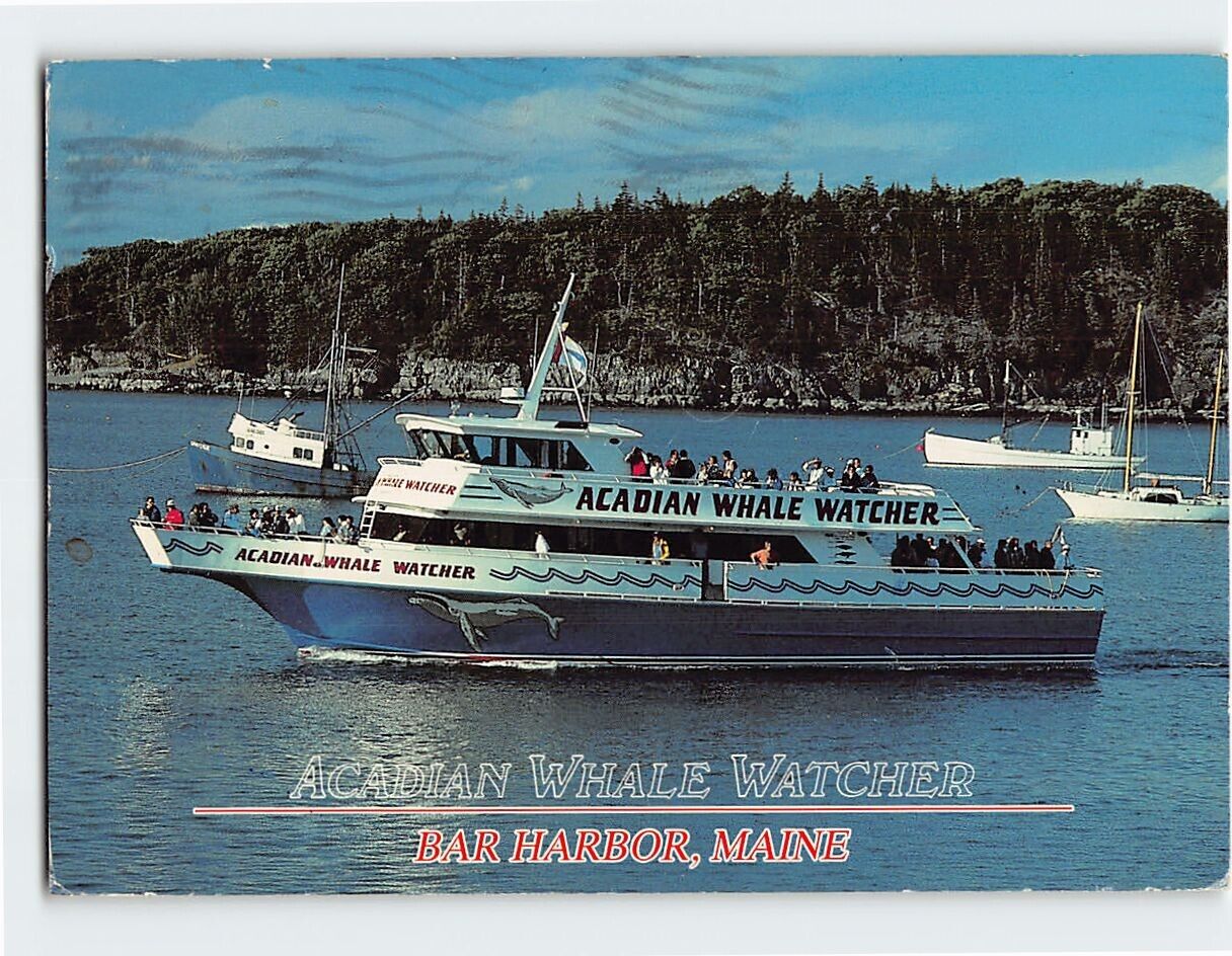 Postcard Acadian Whale Watch, Bar Harbor, Maine