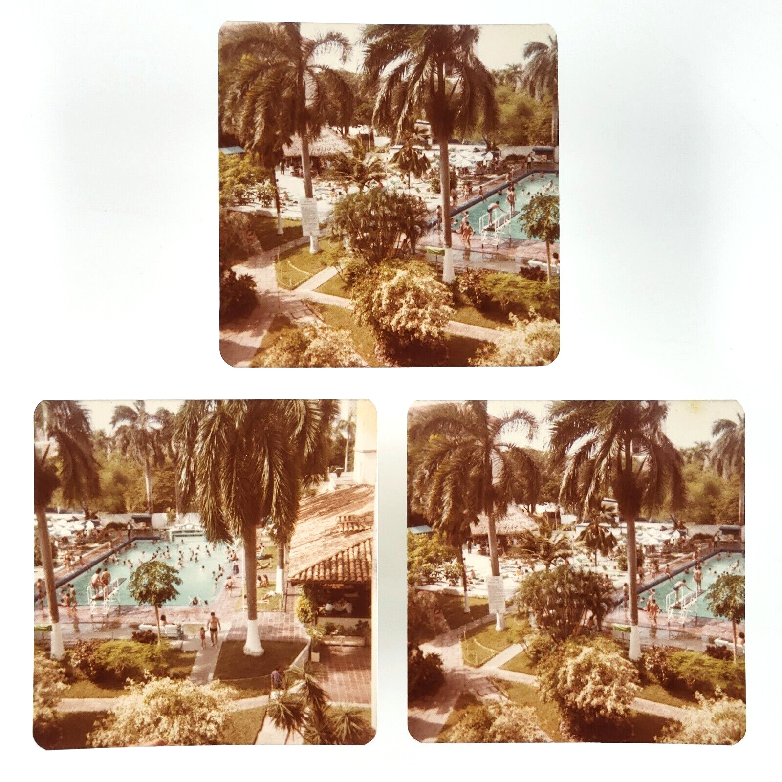 Resort Swimming Pool Photo Set 1980s Palm Trees & Diving Board Snapshots B3339