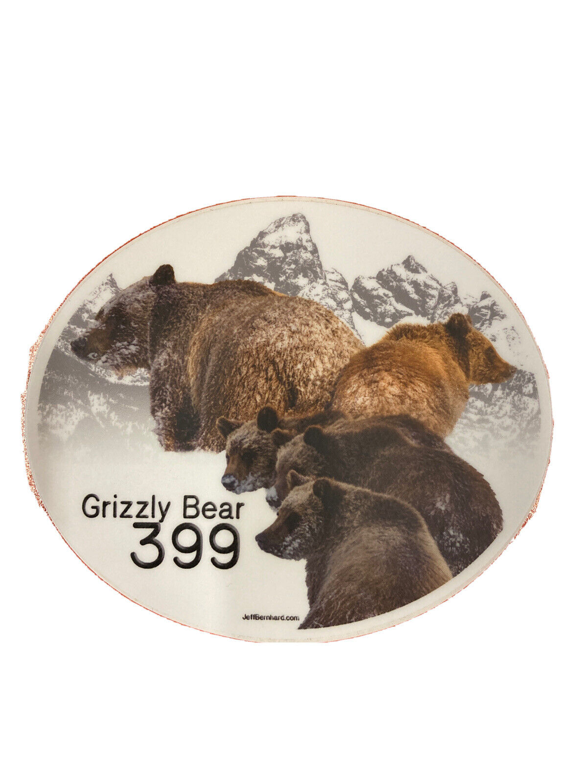 Grizzly Bear 399 with 4 Cubs in Grand Teton National Park Magnet