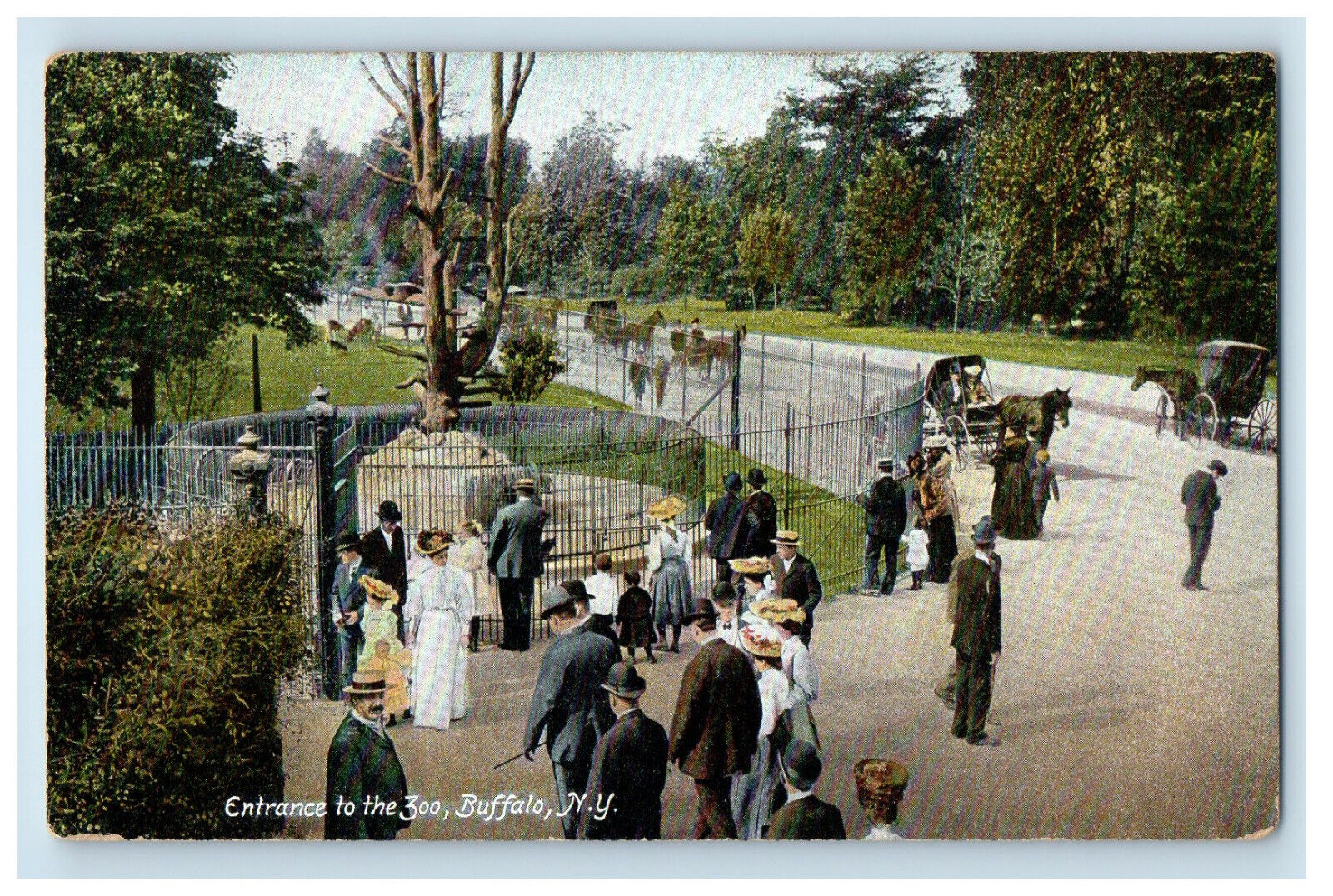 1908 Entrance To The Zoo, Buffalo New York NY Perrysburg NY Posted Postcard