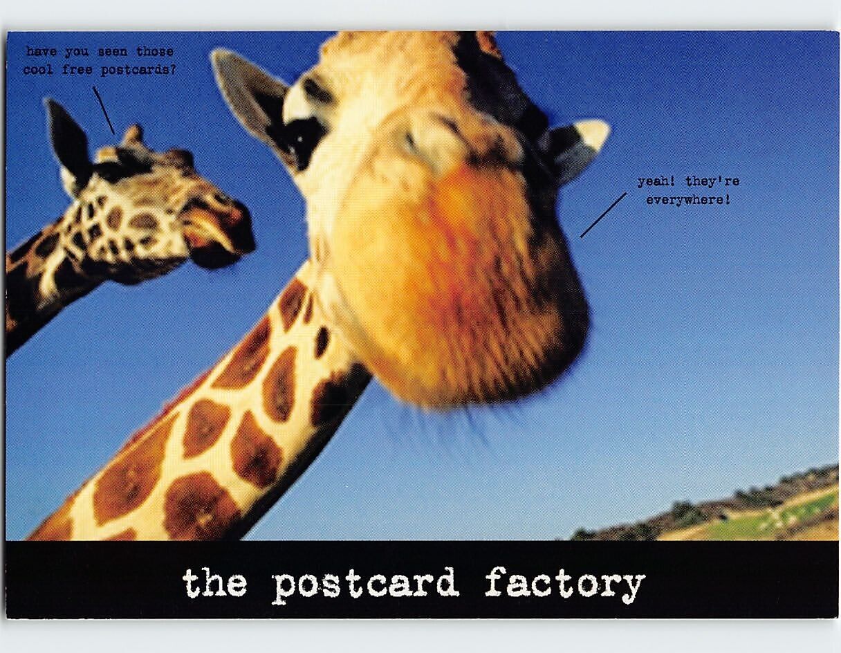 Postcard The Postcard Factory