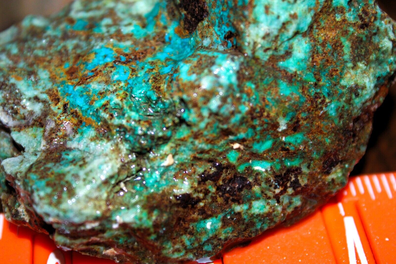 Pilot Mountain Area Turquoise Blue/Green Rough & Raw Mineral Co. Nevada 192g