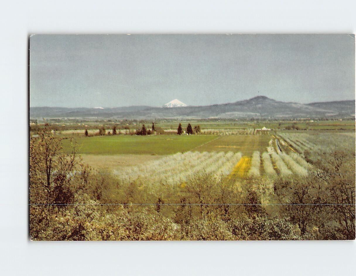 Postcard Rogue River Valley Pear Orchards Southwest Oregon USA