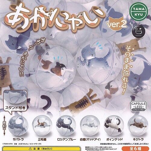 TAMA KYU Akanyai Ver.2 Capsule Toy All 6 Types Complete Set Gacha Japan